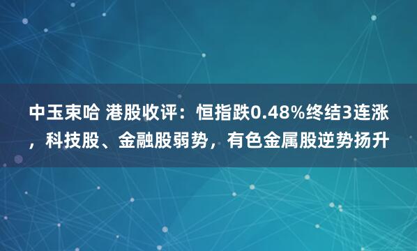中玉束哈 港股收评：恒指跌0.48%终结3连涨，科技股、金融股弱势，有色金属股逆势扬升