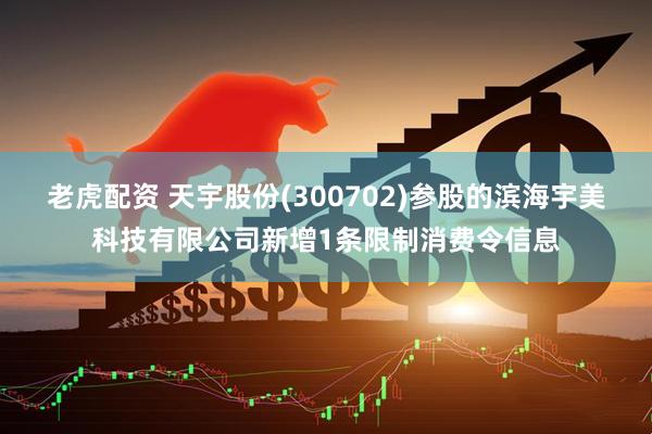 老虎配资 天宇股份(300702)参股的滨海宇美科技有限公司新增1条限制消费令信息