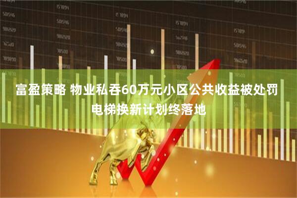 富盈策略 物业私吞60万元小区公共收益被处罚 电梯换新计划终落地