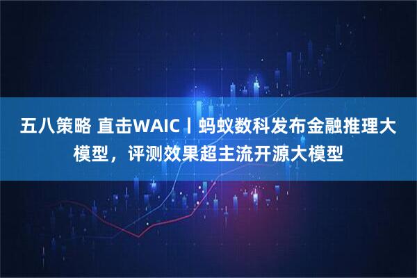 五八策略 直击WAIC丨蚂蚁数科发布金融推理大模型，评测效果超主流开源大模型
