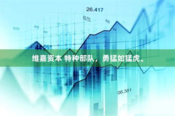 维嘉资本 特种部队，勇猛如猛虎。