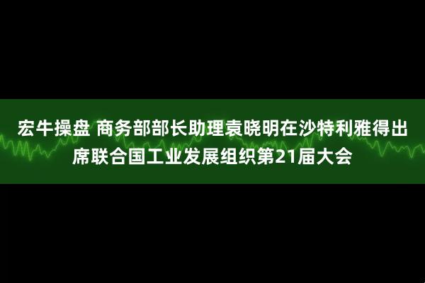宏牛操盘 商务部部长助理袁晓明在沙特利雅得出席联合国工业发展组织第21届大会