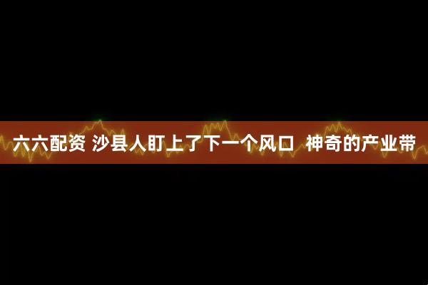 六六配资 沙县人盯上了下一个风口  神奇的产业带